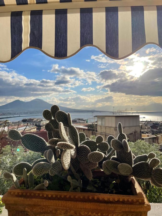 Alma De Templarsf - Stunning Design With Sea View And Terrace Apartment *