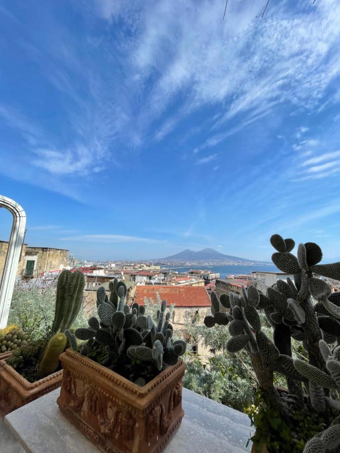 Apartment Alma De Templarsf - Stunning Design With Sea View And Terrace Naples
