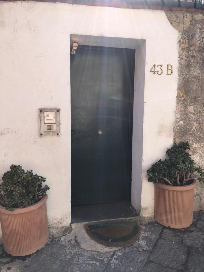 Apartment Alma De Templarsf - Stunning Design With Sea View And Terrace *