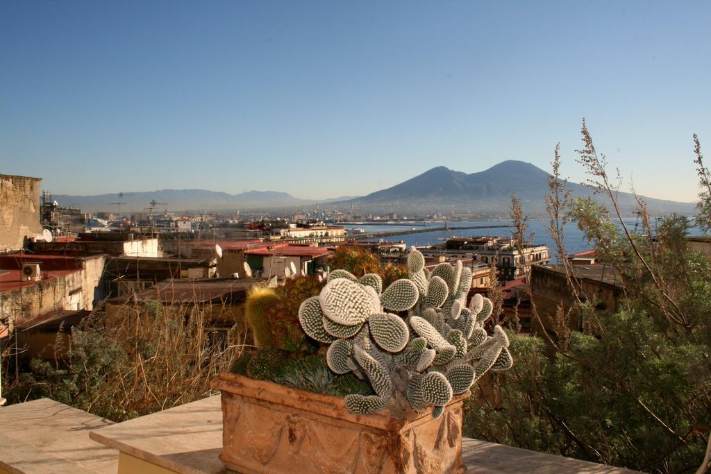 Alma De Templarsf - Stunning Design With Sea View And Terrace Apartment *